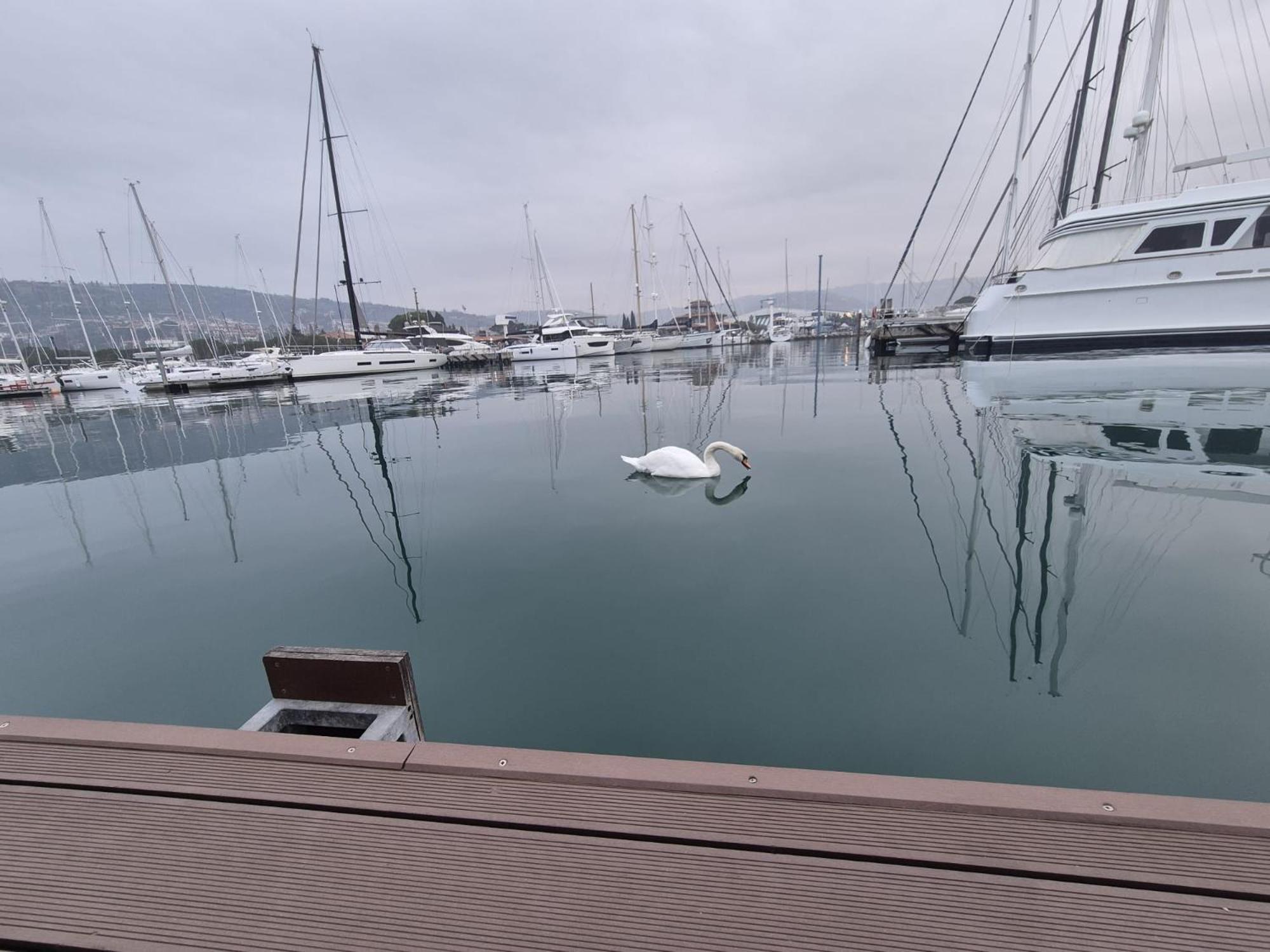 Floating Sea House Aurora Villa Portorož Dış mekan fotoğraf