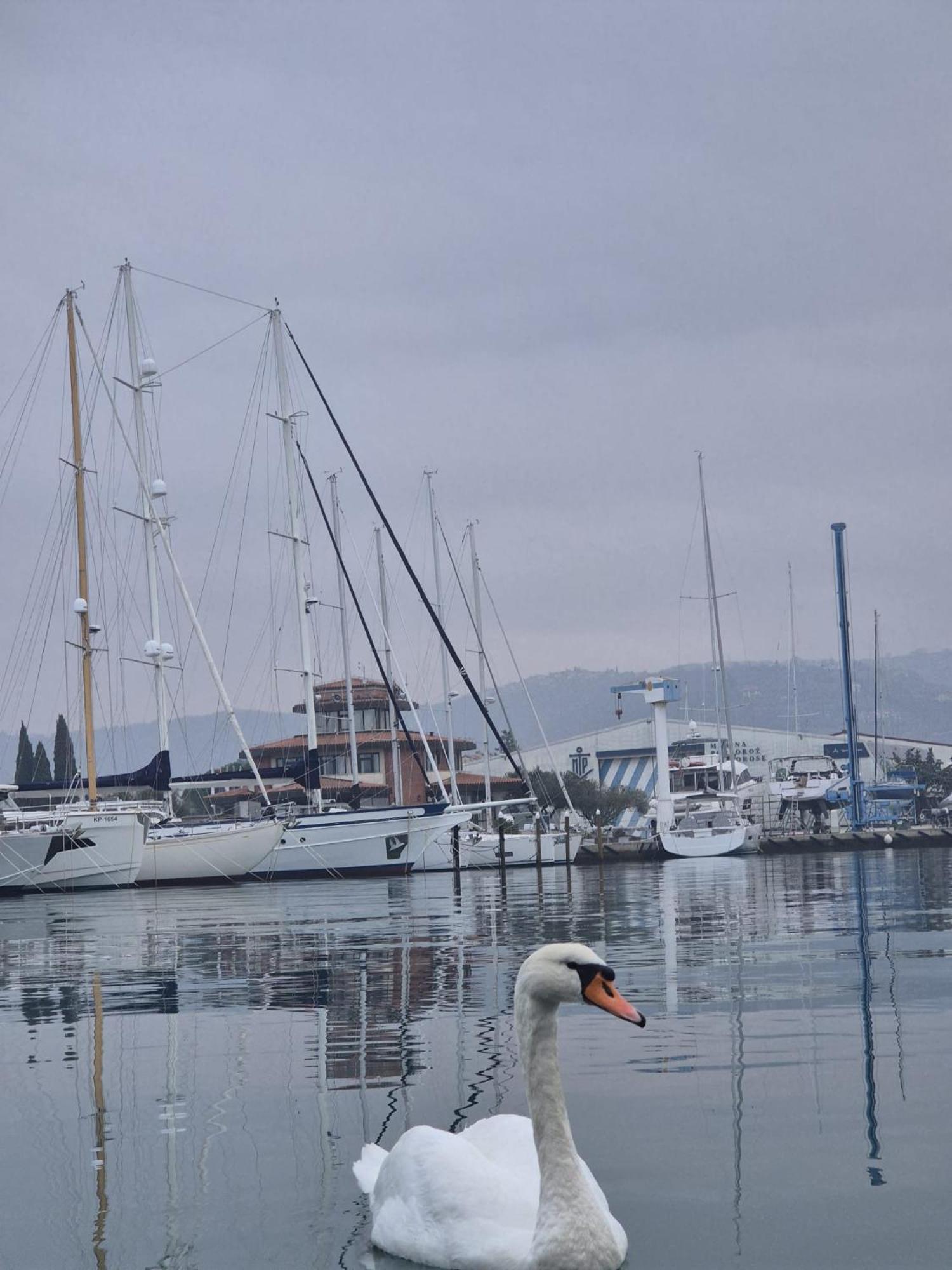 Floating Sea House Aurora Villa Portorož Dış mekan fotoğraf