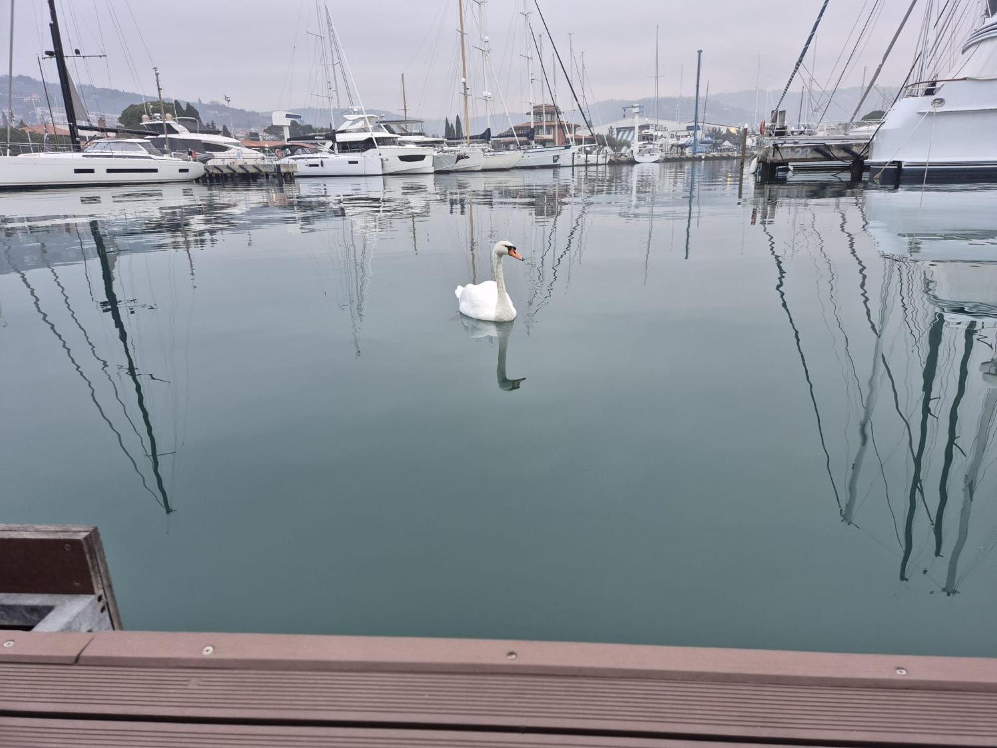 Floating Sea House Aurora Villa Portorož Dış mekan fotoğraf